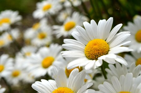 Composites white bokeh