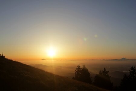 Abies dawn dusk photo