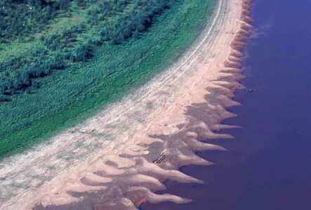 River shoreline 