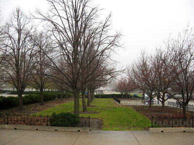 Chicago Garden Usa