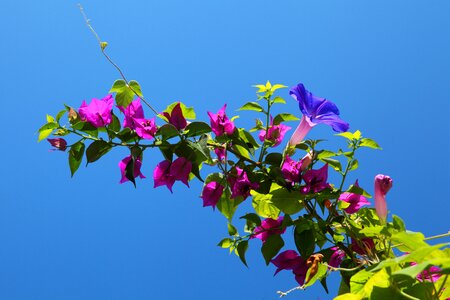 Colorful blue sky
