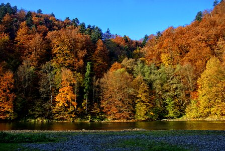 Colors view nature