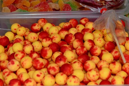 Candy produce food