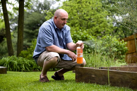Crops garden gardening