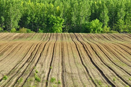 Agricultural field hillside photo