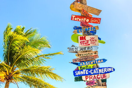 Colored Wooden Direction Signs against Sky and Palm Tree photo