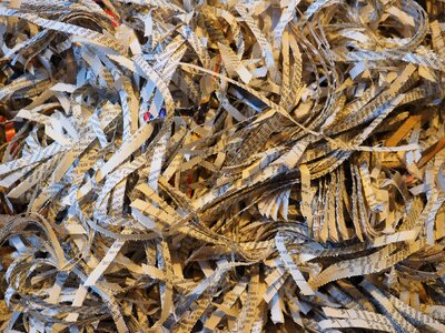 Flakes paper strip shredded