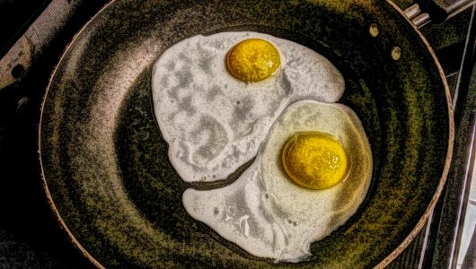 Egg egg yolk fine arts photo