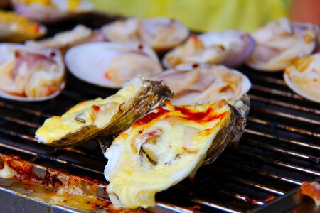 Barbecued oysters yummy delicious