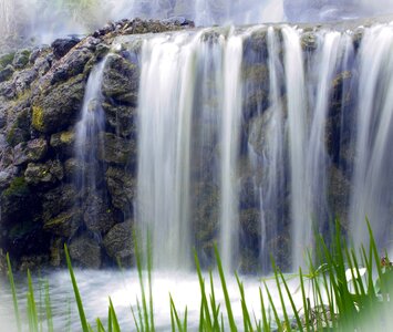 Cascade landscape leaf