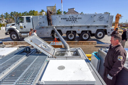 FWS staff loading juvenile lake trout onto MV Spencer Baird-4 photo