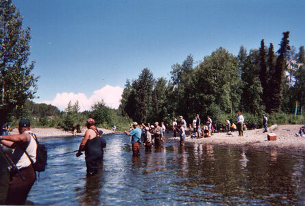 Combat fishing for King Salmon photo