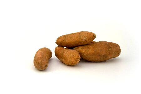 Potato potatoes vegetable photo