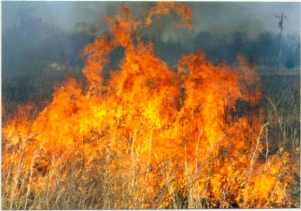 Burning fire flames