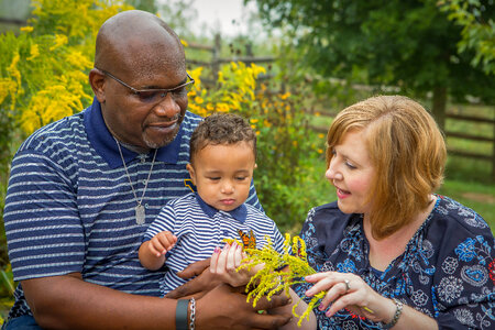 Family with monarch butterfly on goldenrod flowers-2