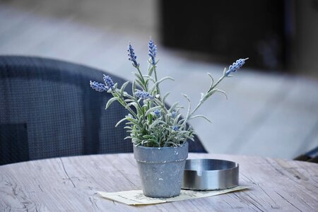 Cafeteria flowerpot ashtray photo