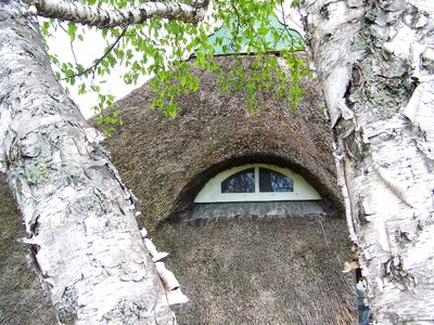 Window eyelid thatched photo