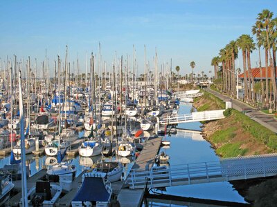 Boats many 