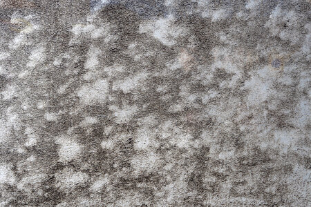 Dirt on Plexiglass