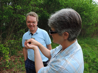 Service employees preparing to release Red-eyed Vireo photo