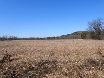 Clearing landscape at Quincy Bluff photo