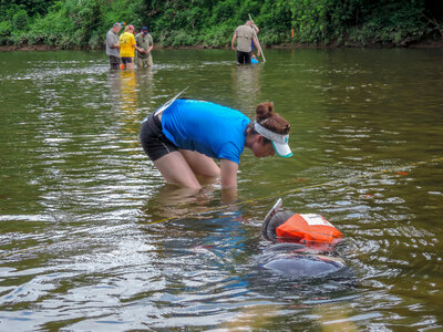 Students surveying freshwater mussels-4
