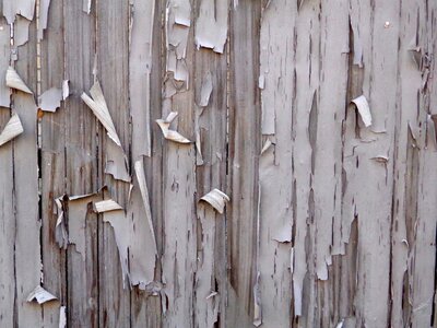 Paint pattern texture