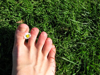 Green toe toenail