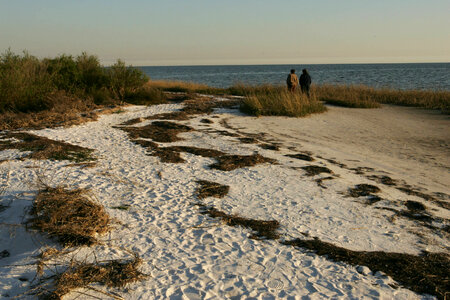 Visitors admire the ocean view at St. Marks National Wildlife Refuge photo