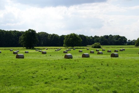 Bale meadow landscape photo
