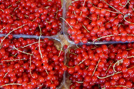 Vitamins food red