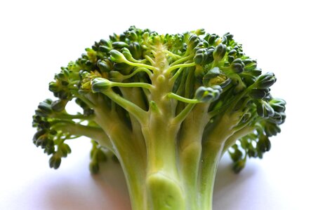 Beautiful Image beautiful photo broccoli