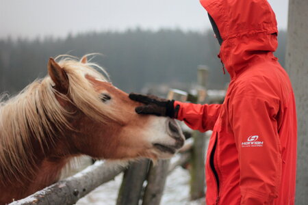 With a Horse