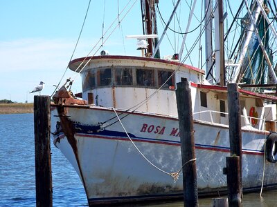 Water fishing boat harbor photo