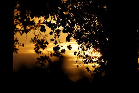 Darkness sunset silhouette photo