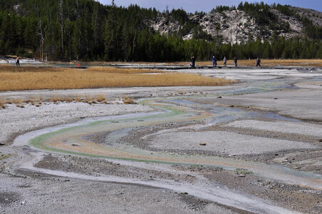 Thermal Field at Yellow Stone National Park photo