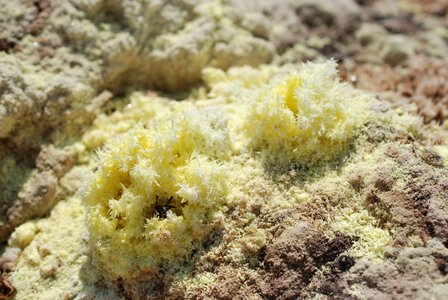 Volcano crater sulfur crystal