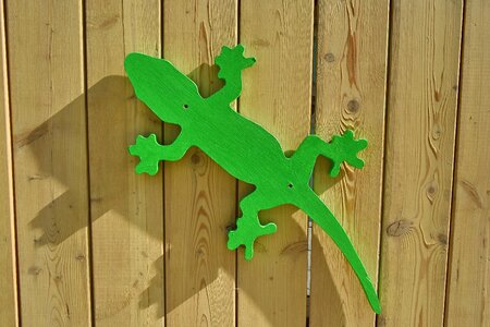 Lizard object wooden photo