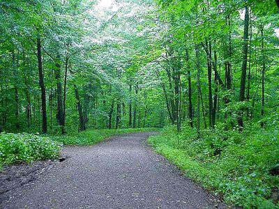 Hill park 