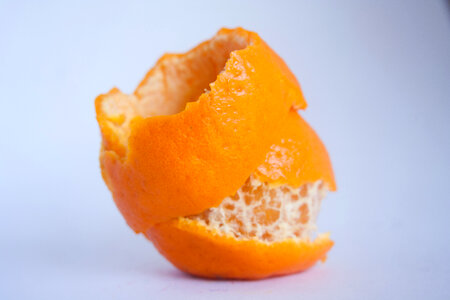 Orange Fruit