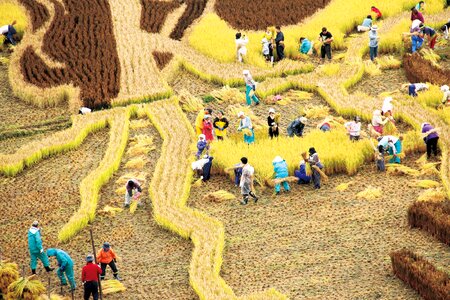 Paddy Field Art in Aomori Japan