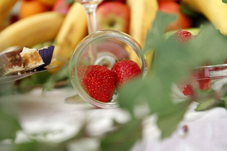 Fruit strawberry nature photo