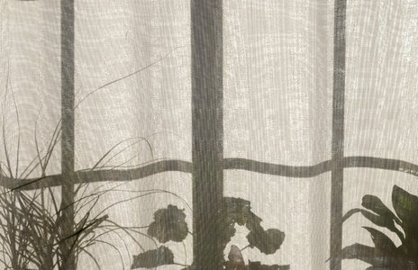 Fabrics gray plants