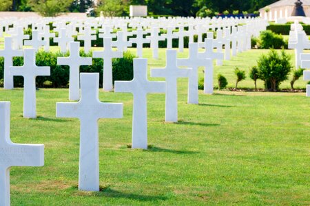 Cross dead force