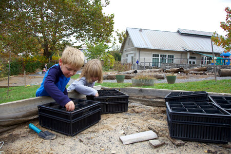 Children planting acorns photo