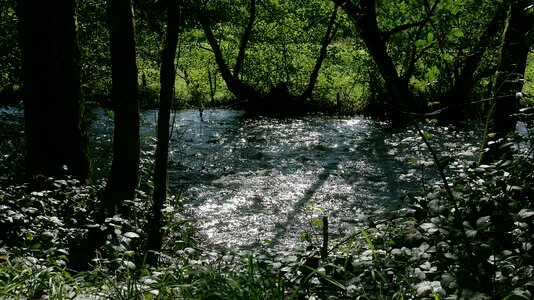Water courses nature light reflections photo
