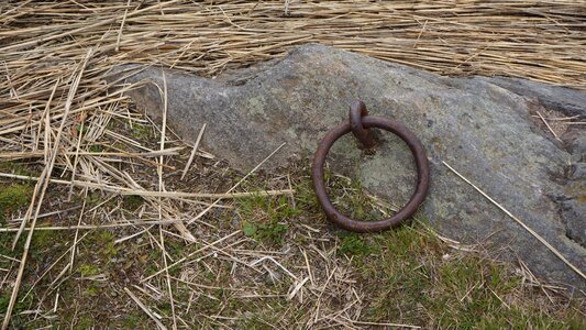 Link boat mooring reeds photo