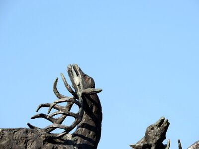 Deer horn statue photo