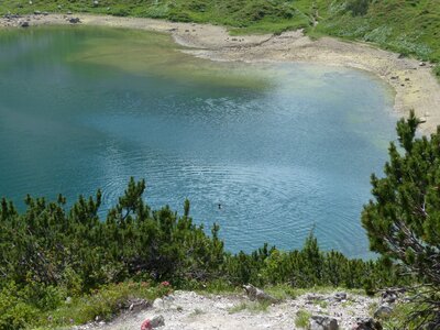 Bergsee swim alpine lake