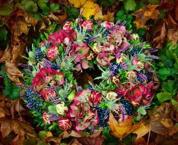 Decoration floral wreath autumn decoration photo